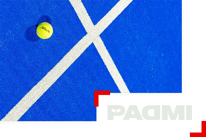 PADMI Logo Patrocinador